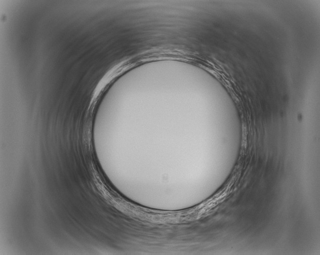 X0000084030004200702160904