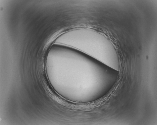 X0000084030005200702160904