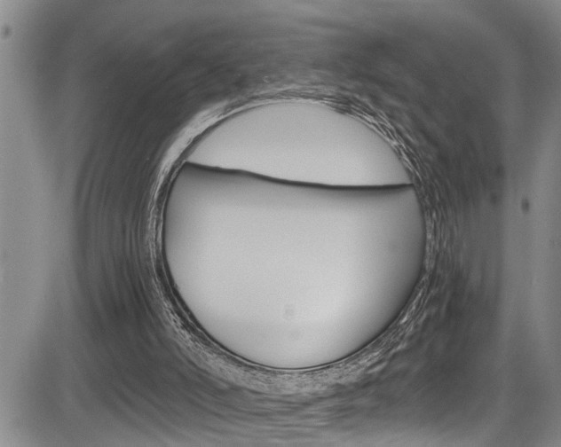 X0000084030006200702160904