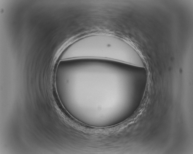 X0000084030007200702160904