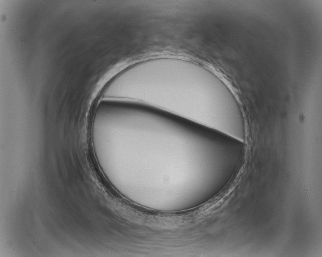 X0000084030008200702160904