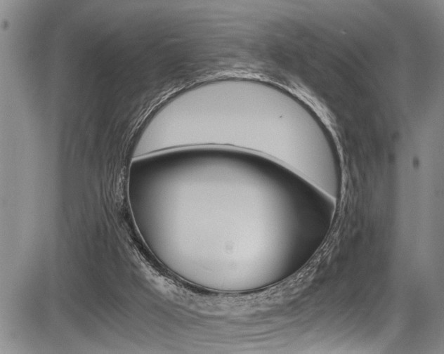 X0000084030009200702160904