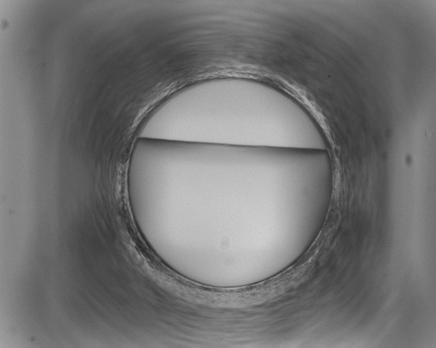 X0000084030010200702160904