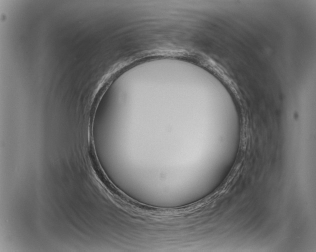 X0000084030011200702160904