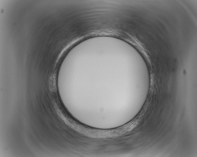 X0000084030012200702160904