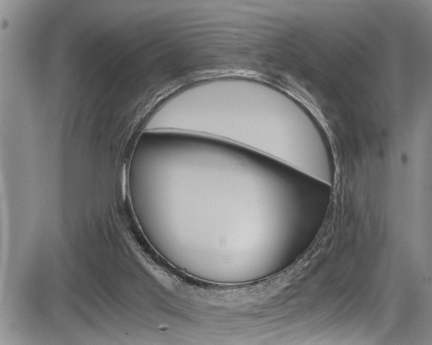 X0000084030013200702160904