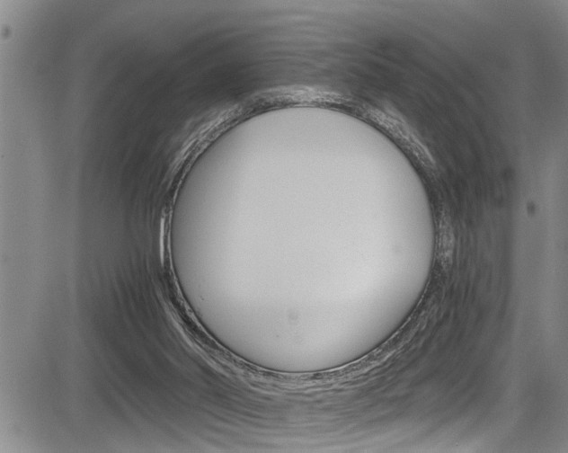 X0000084030014200702160904