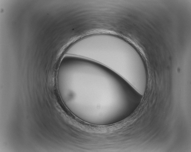 X0000084030015200702160903