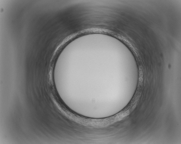 X0000084030016200702160903