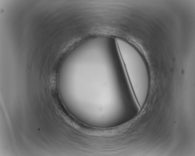 X0000084030017200702160903