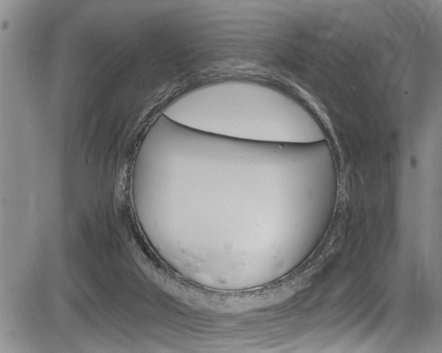 X0000084030018200702160903