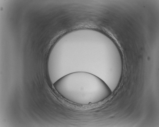 X0000084030019200702160903