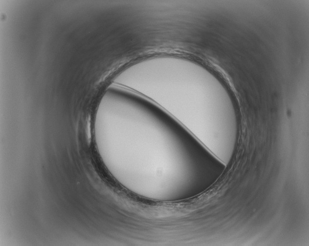 X0000084030020200702160903