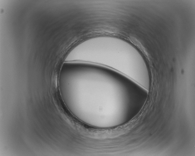 X0000084030021200702160903