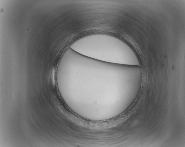 X0000084030022200702160903