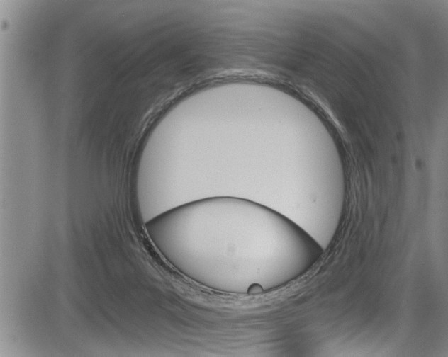 X0000084030023200702160903