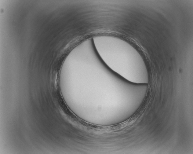 X0000084030024200702160903