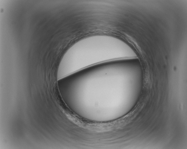 X0000084030025200702160903