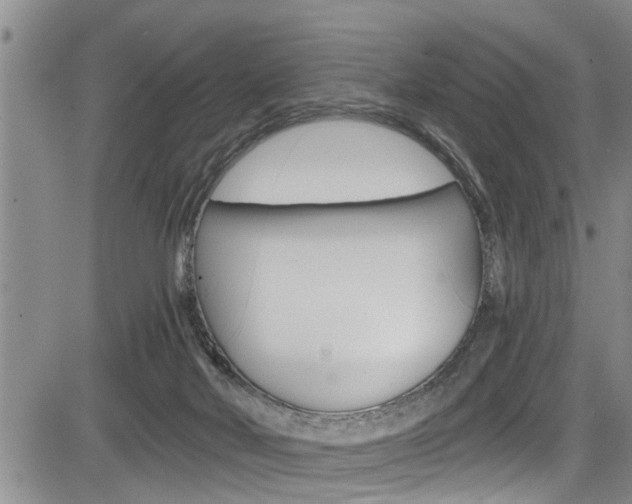 X0000084030026200702160903