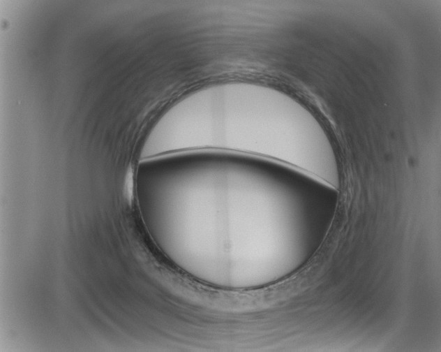 X0000084030027200702160903