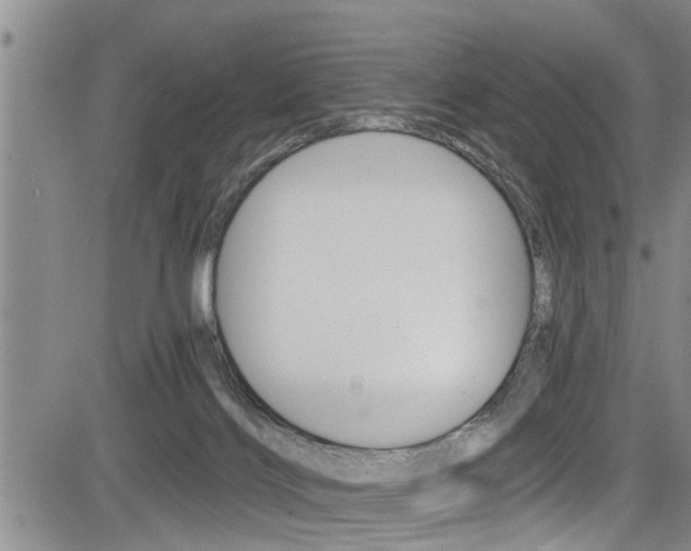 X0000084030028200702160903