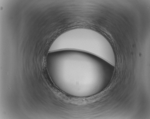 X0000084030029200702160903