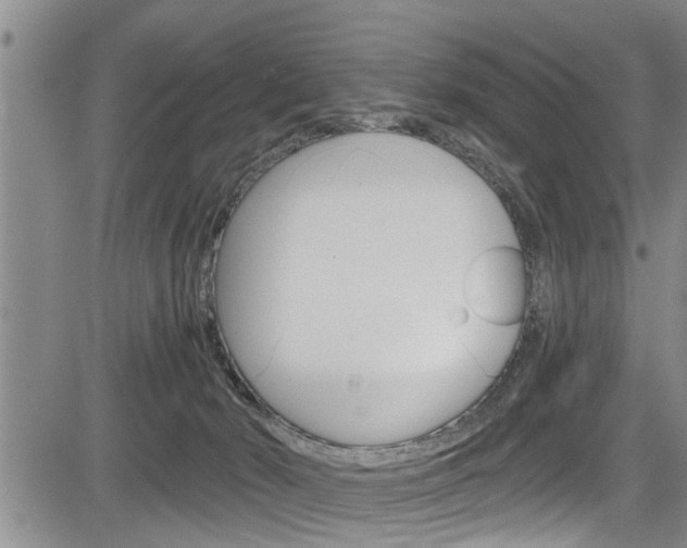 X0000084030030200702160903