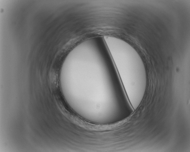 X0000084030031200702160903