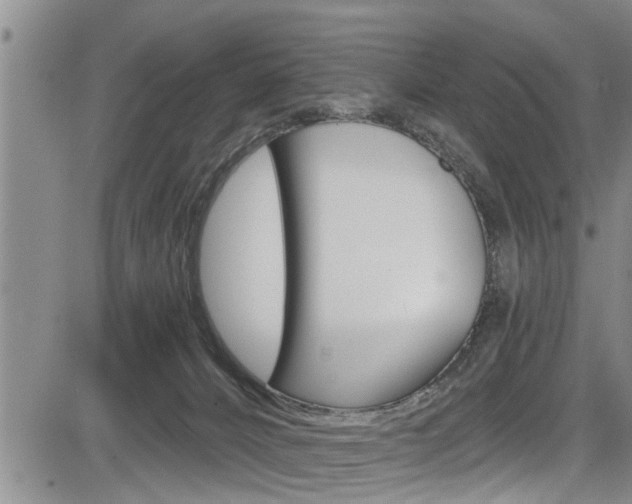 X0000084030032200702160903