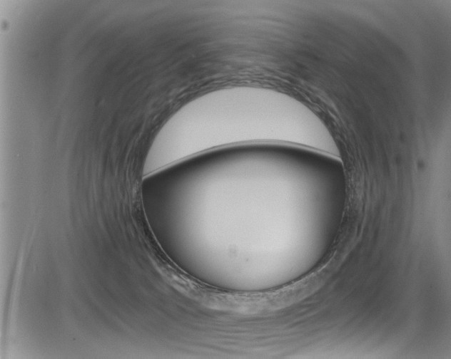 X0000084030033200702160903