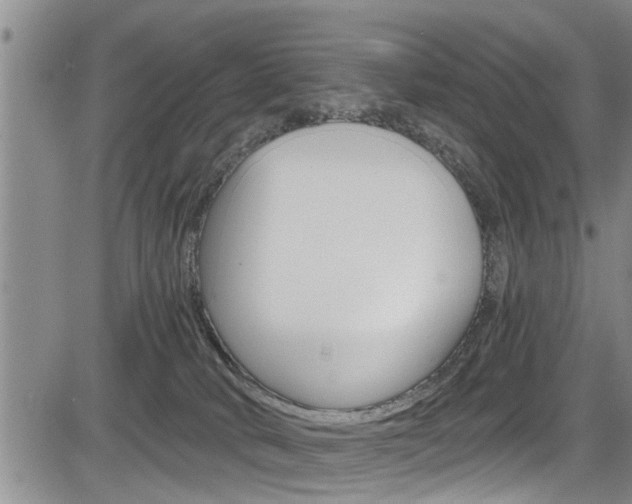 X0000084030034200702160903