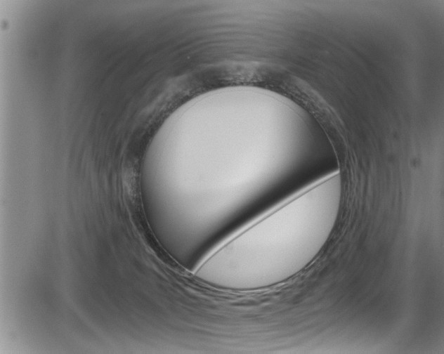 X0000084030035200702160903