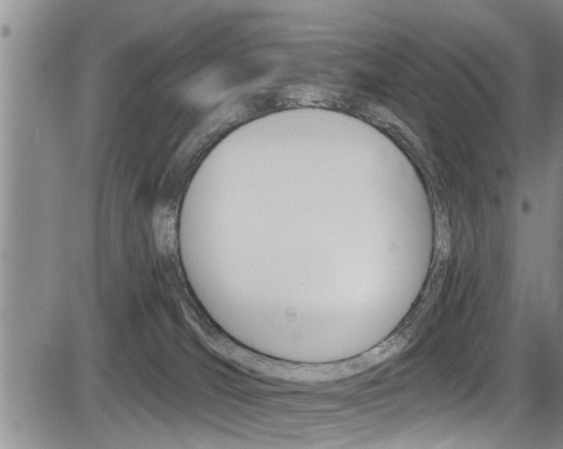 X0000084030036200702160903