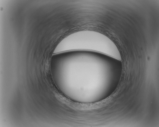 X0000084030037200702160903