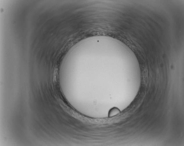 X0000084030038200702160903