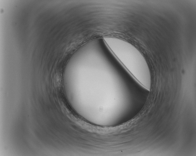 X0000084030039200702160903