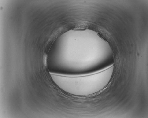 X0000084030041200702160903