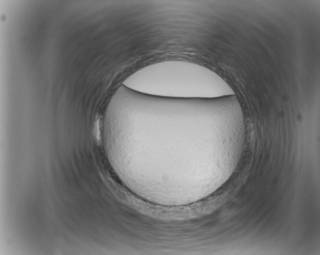 X0000084030042200702160903