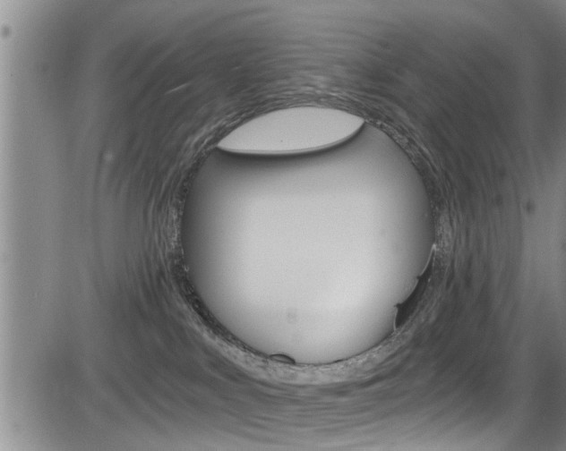 X0000084030043200702160903