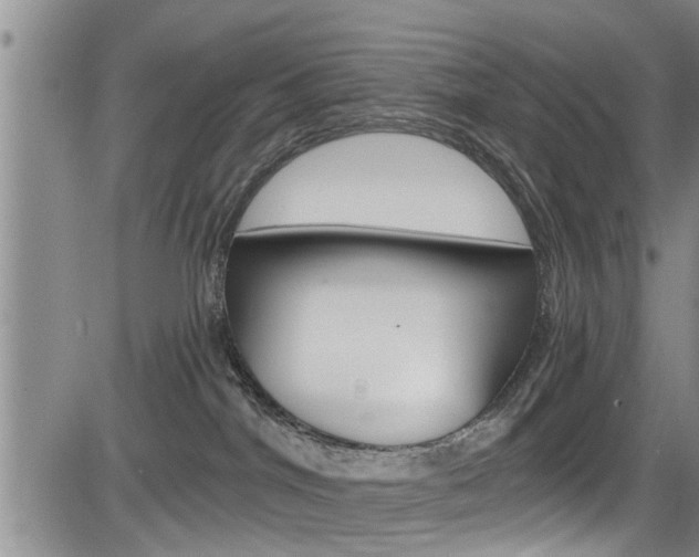 X0000084030044200702160903