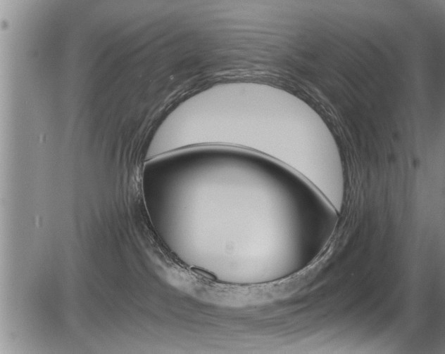 X0000084030045200702160903