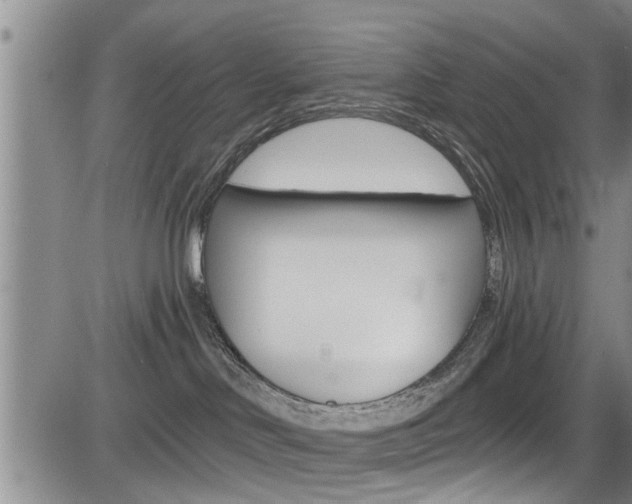 X0000084030046200702160903