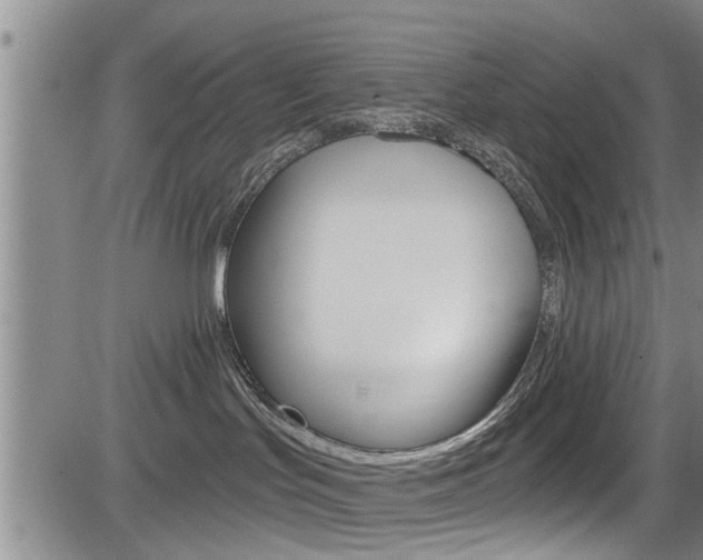 X0000084030047200702160903