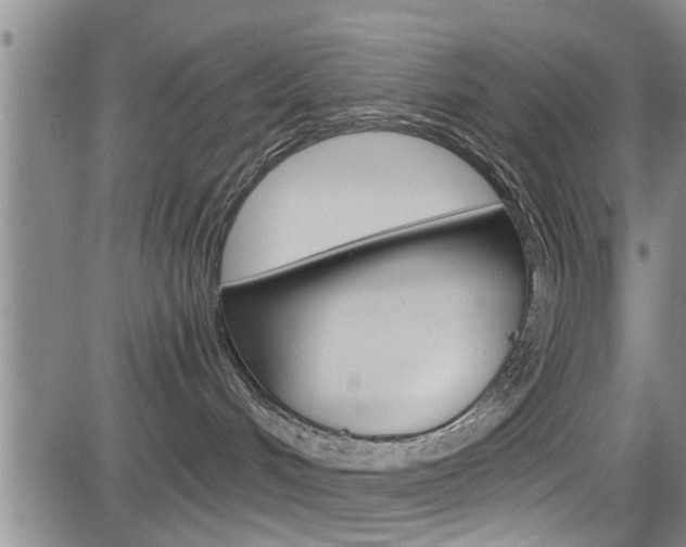 X0000084030048200702160903