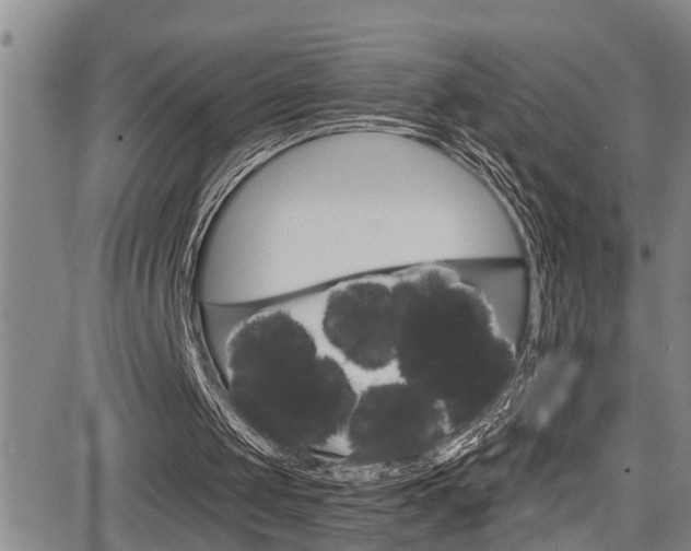 X0000084030049200702160902