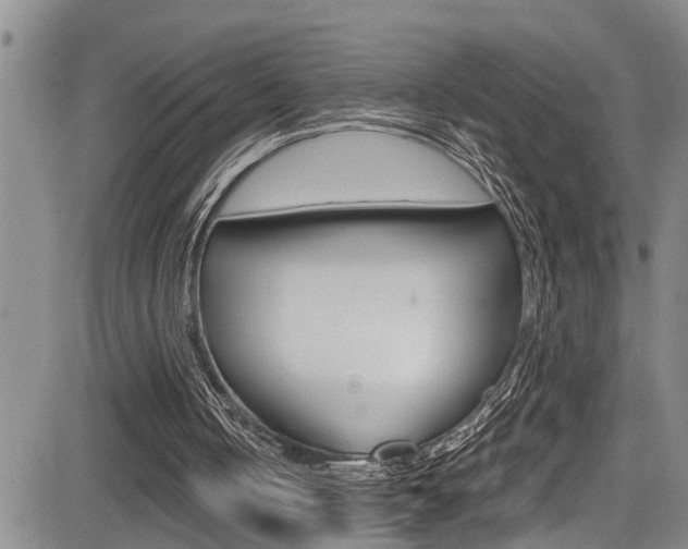 X0000084030050200702160902