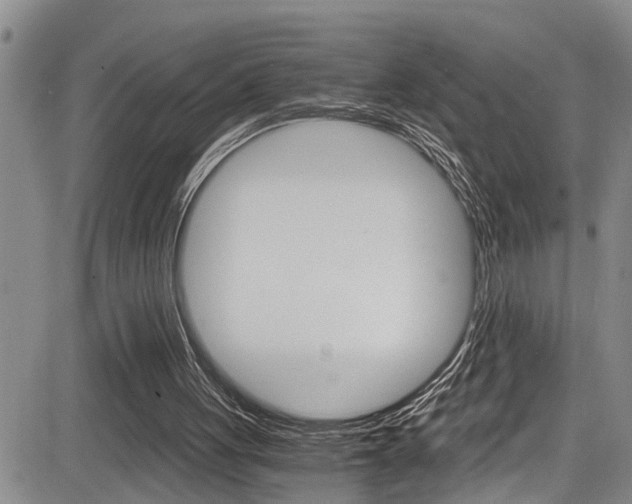 X0000084030051200702160902