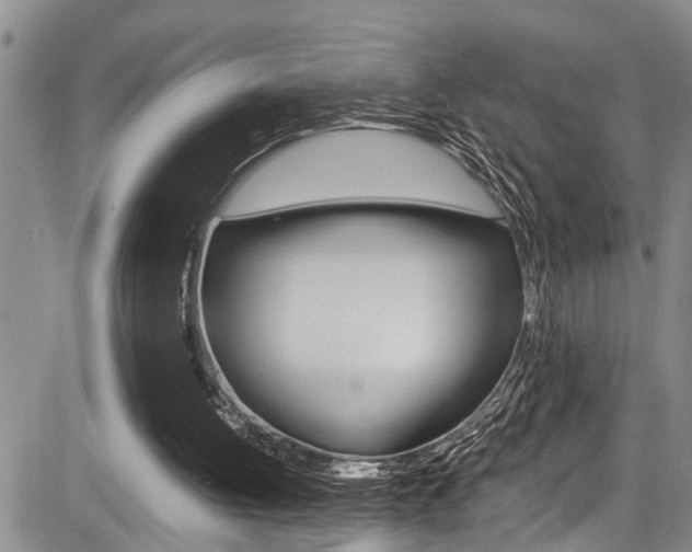 X0000084030052200702160902