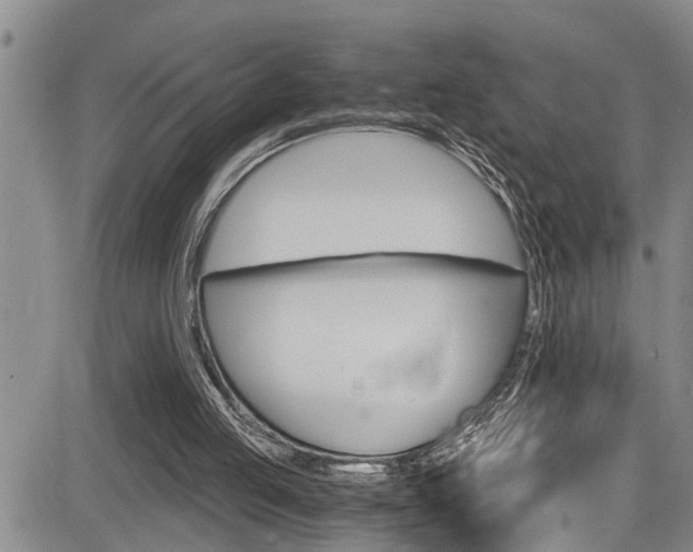 X0000084030053200702160902