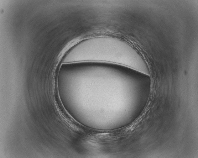 X0000084030054200702160902